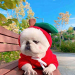 Zoe's Pet Boutique Zoe's Pet Boutique Zoe's Pet Boutique Zoe's Pet Boutique Zoe's Pet Boutique